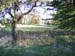 2008_1017DayOutLiveden0021