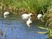 2008_1017DayOutLiveden0037
