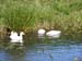 2008_1017DayOutLiveden0039